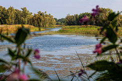 Landschapsfotografie  Ooij-polder